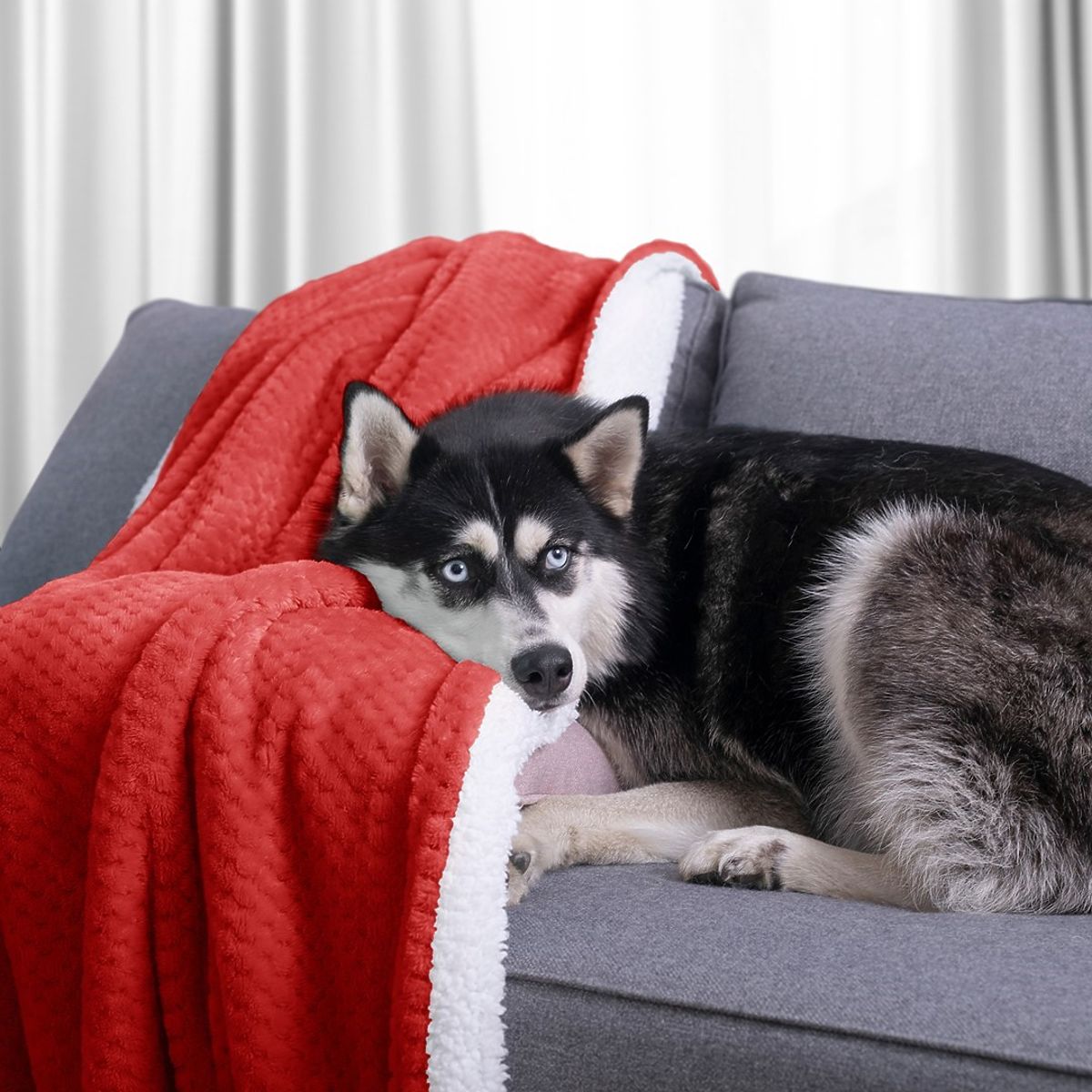 Coperta SHLEEPY colore rosso jacquard goffrato stile classico 130x180