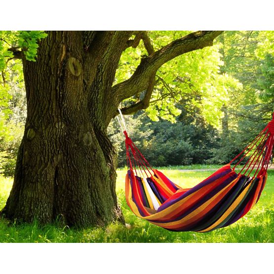 Amaca da giardino
