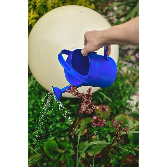 Annaffiatoio blu