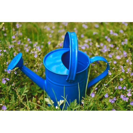 Annaffiatoio blu