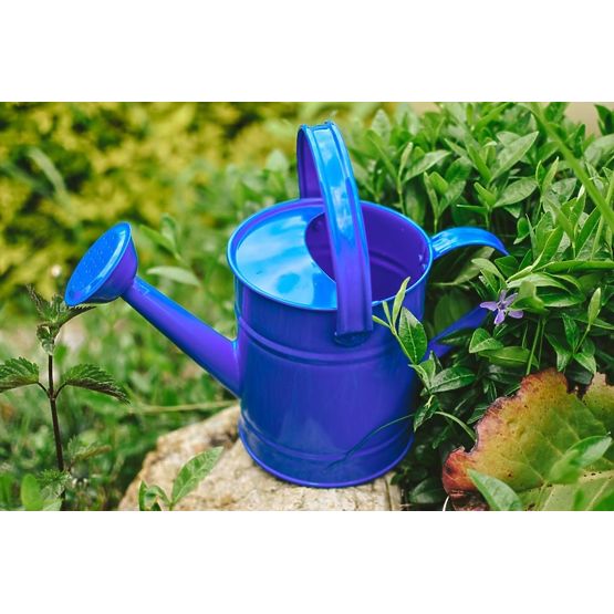 Annaffiatoio blu