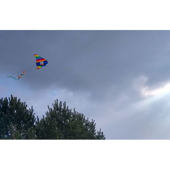 Drago volante - arcobaleno