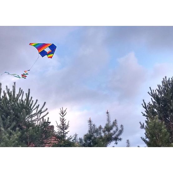 Drago volante - arcobaleno