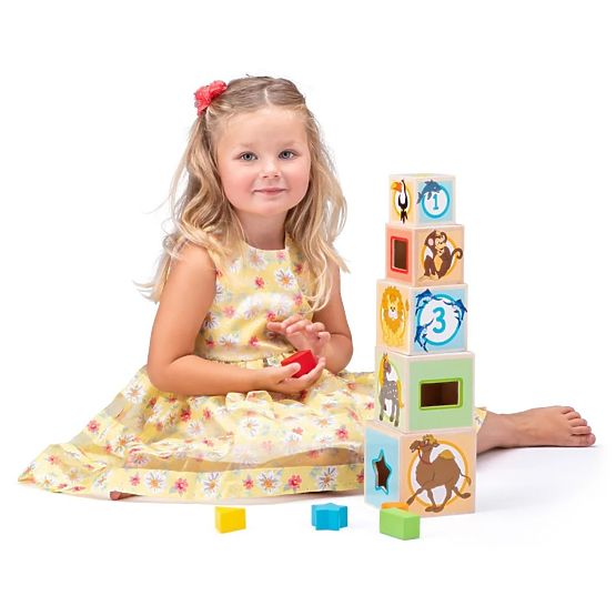 Bicchieri di legno - torre con sorter