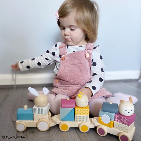 Bigjigs Baby Treno in legno con animali