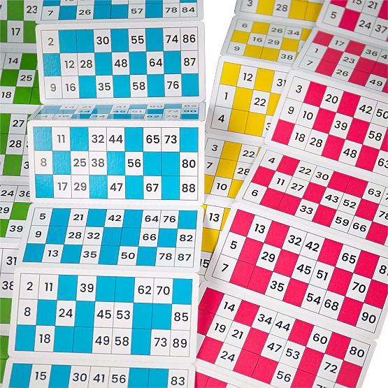 Bigjigs Toys Bingo Tradizionale