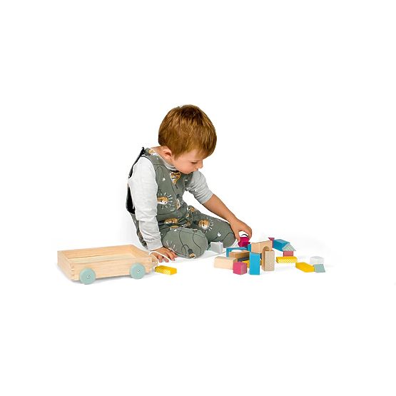 Bigjigs Toys Carrello con Blocchi di Legno