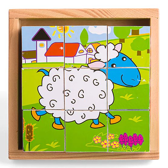 Bigjigs Toys Cubi di immagini Animali 9 cubi