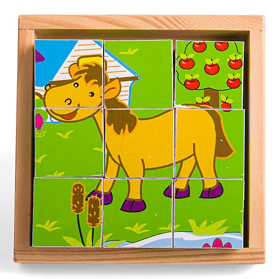 Bigjigs Toys Cubi di immagini Animali 9 cubi