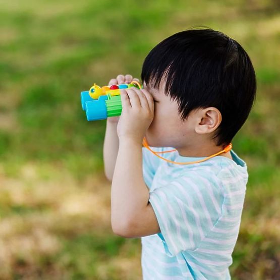 Binocolo blu-verde - farfalla