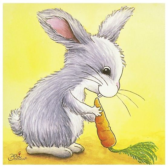 Blocchi con immagini di animali