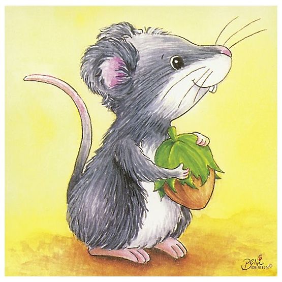 Blocchi con immagini di animali