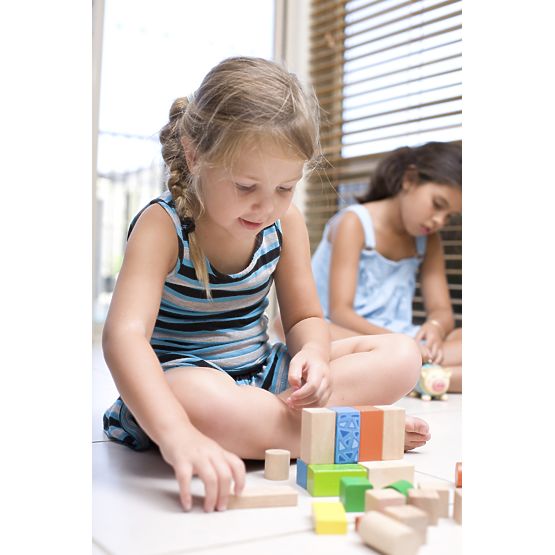 Blocchi di legno Ecotoys - 100 pz