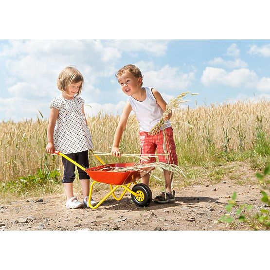 Carriola in metallo - rosso rollytoys