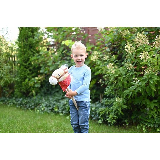 Cavallo su bastone Achał Hobby Horse