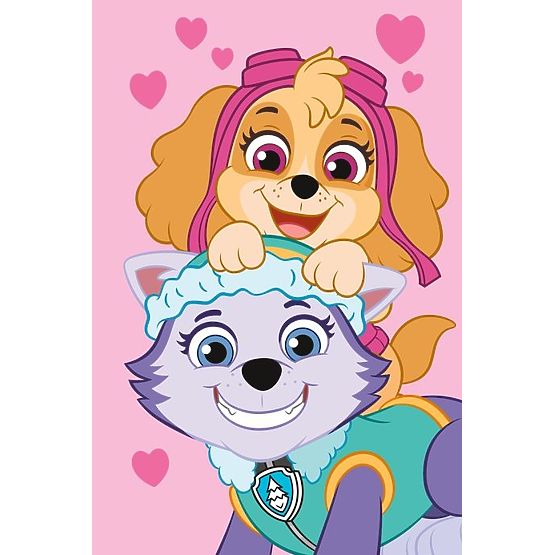 Coperta in pile Paw Patrol - Skye e Everest