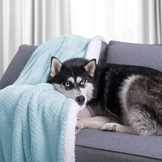 Coperta SHLEEPY blu con motivo jacquard stile classico 130x180