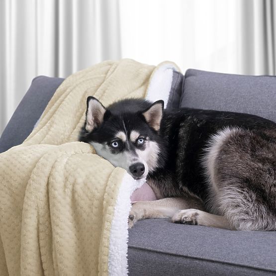 Coperta SHLEEPY colore beige jacquard classico 130x180