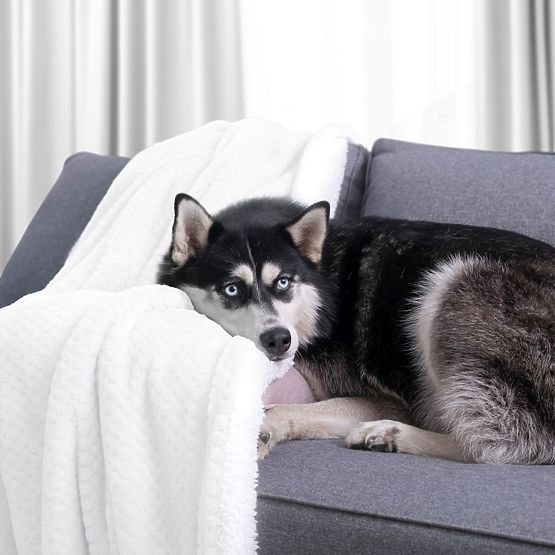 Coperta SHLEEPY colore bianco jacquard classico stile 170x210