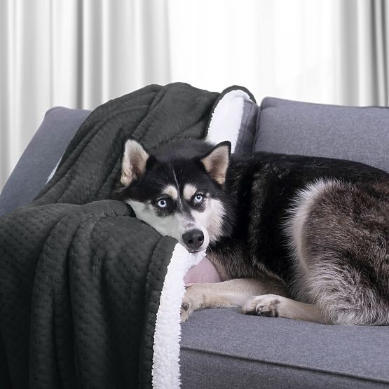 Coperta SHLEEPY colore grafite jacquard classico stile 170x210