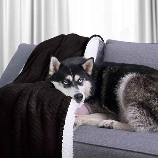 Coperta SHLEEPY nera con motivo jacquard stile classico 130x180