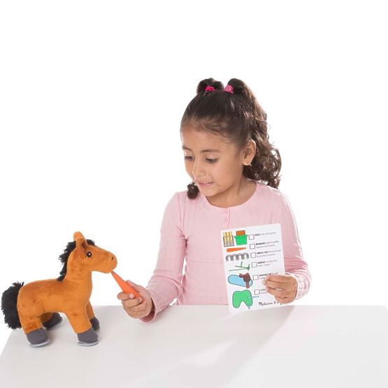 Cura del cavallo: set da gioco