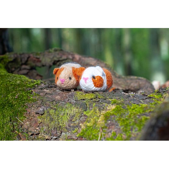 Kit per infeltrimento - Porcellini d'India