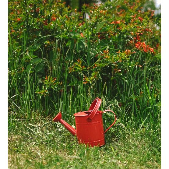 Annaffiatoio rosso