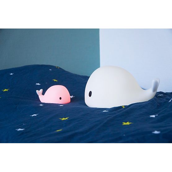 Luce notturna FLOW - Whale Media