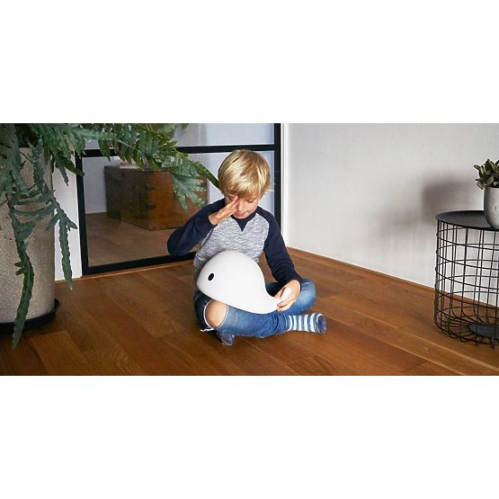 Luce notturna FLOW - Whale Media