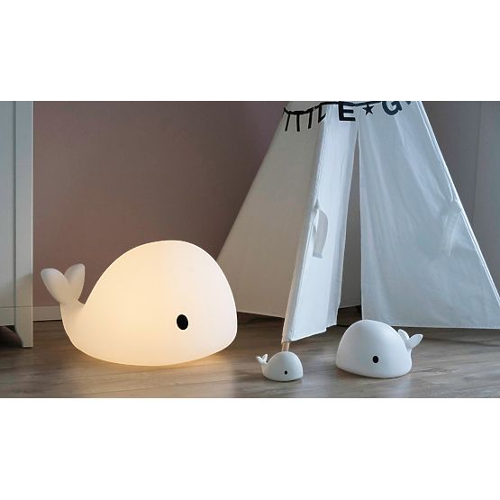 Luce notturna FLOW - Whale Media