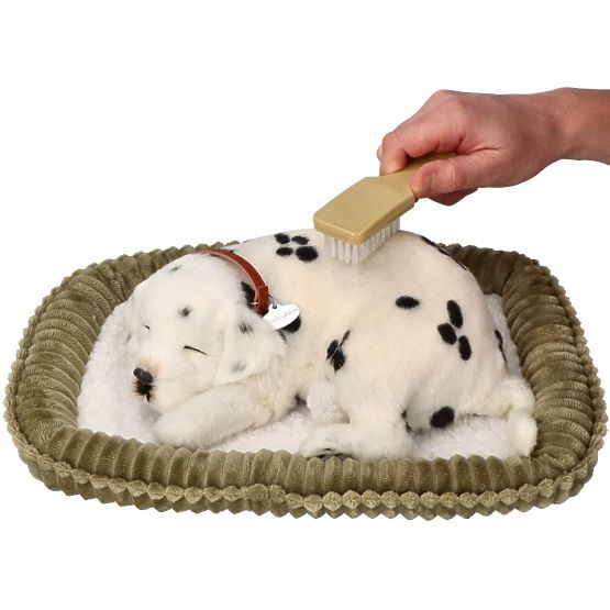 Perfect Petzzz Adotta un dalmata che respira