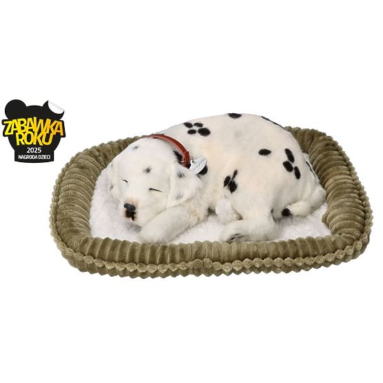 Perfect Petzzz Adotta un dalmata che respira