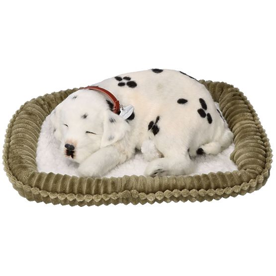 Perfect Petzzz Adotta un dalmata che respira