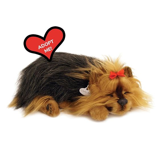 Perfect Petzzz Cucciolo di York che Russeggia