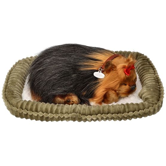 Perfect Petzzz Cucciolo di York che Russeggia