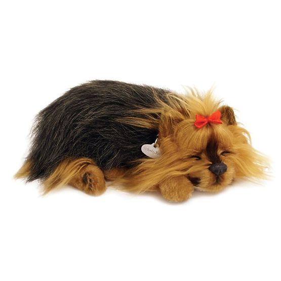 Perfect Petzzz Cucciolo di York che Russeggia