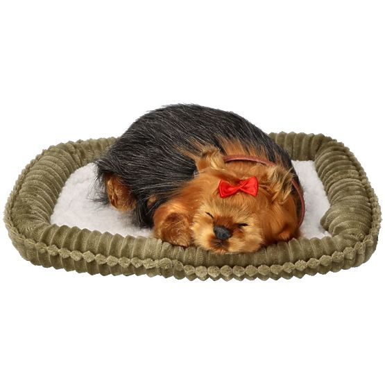 Perfect Petzzz Cucciolo di York che Russeggia