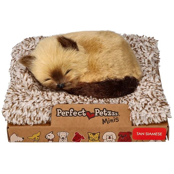 Perfect Petzzz Piccolo Gattino Siamese