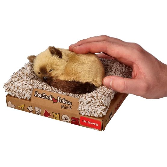 Perfect Petzzz Piccolo Gattino Siamese