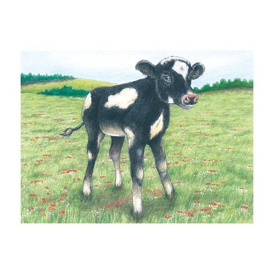 Puzzle a cubetti con pecorella