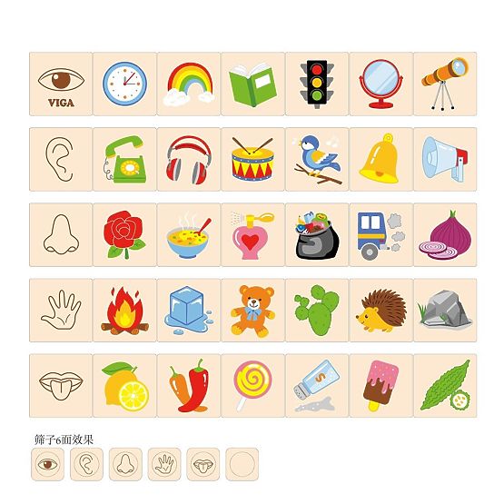 Puzzle di Classificazione dei Sensi