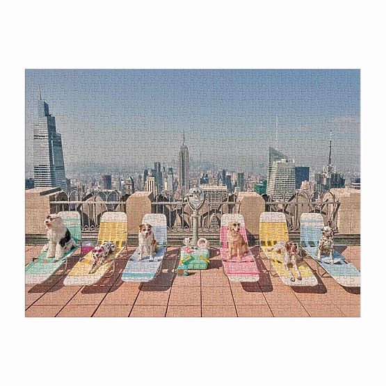 Puzzle Galison Cani a New York Gray Malin 1000 pezzi