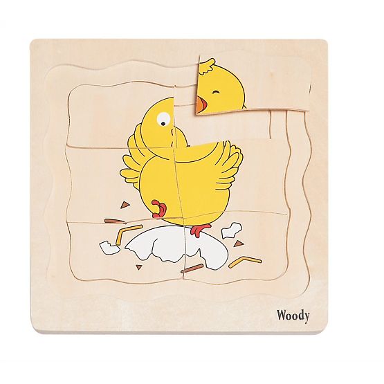 Puzzle stratificato sulla vita della gallina