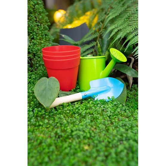 SET GIARDINAGGIO CON VASI SFD