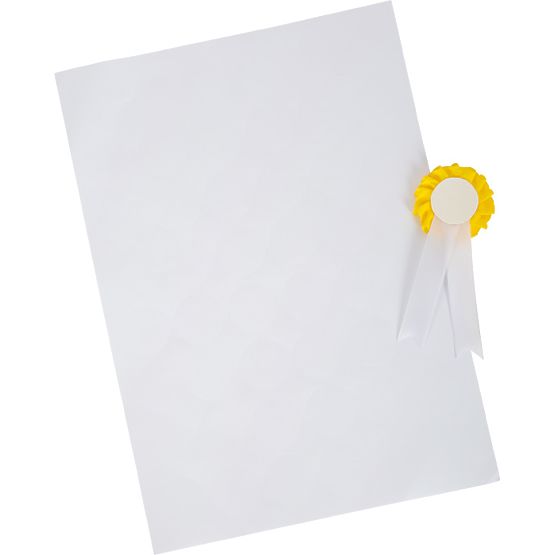 small foot Set di cura del cavallo con borsa