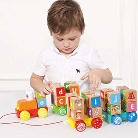 Treno di legno grandi blocchi educativi alfabeto ECOTOYS
