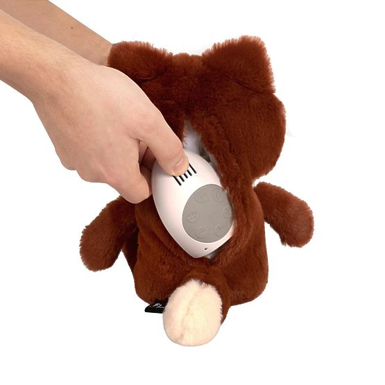 Volpe arancione con battito cardiaco FLOW