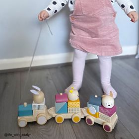 Bigjigs Baby Trenino in legno con animali - confezione danneggiata