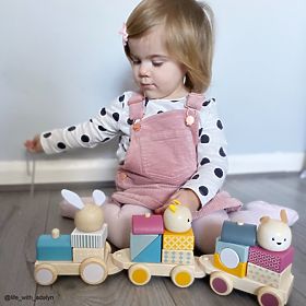 Bigjigs Baby Treno in legno con animali